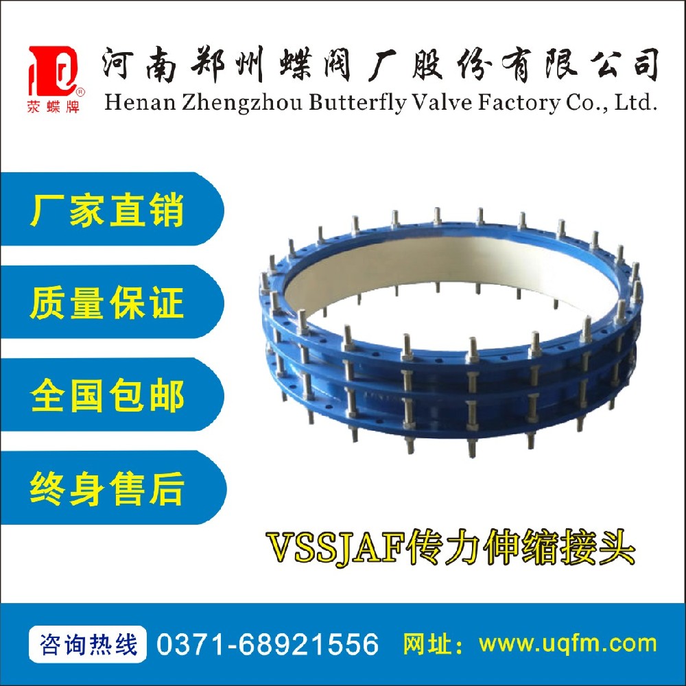 VSSJAF传力伸缩接头1