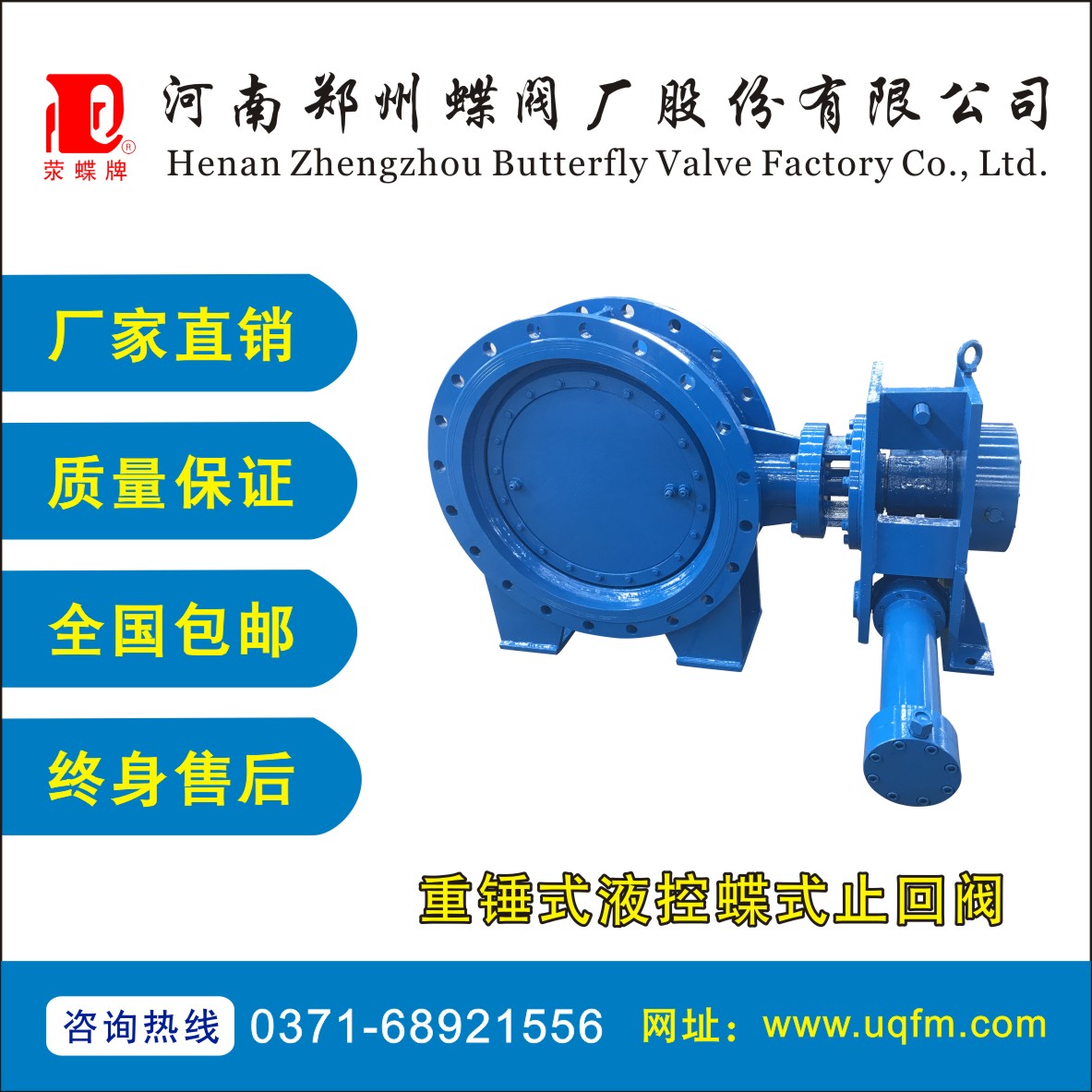 重锤式液控蝶式止回阀